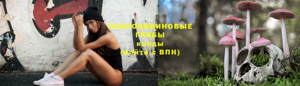 ПСИЛОЦИБИНОВЫЕ ГРИБЫ Балабаново